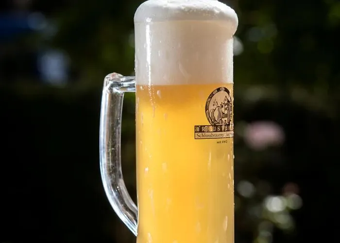 奥德尔茨豪森宾馆 酒店 欧德扎奥森