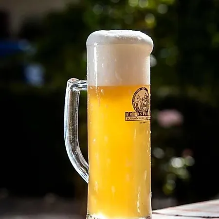 Otel Gutshotel Odelzhausen