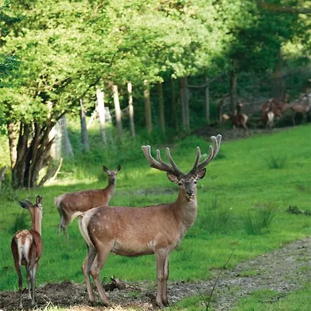 Gutshotel Odelzhausen